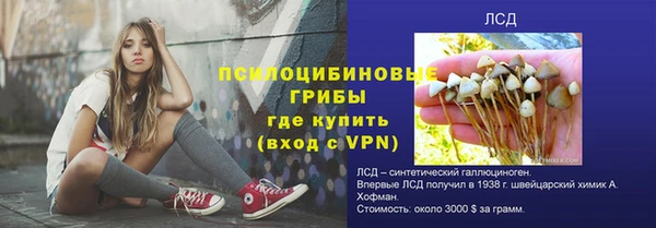 бошки Горнозаводск