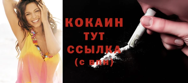 прущие крисы Горняк