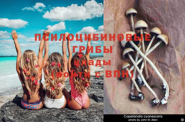 прущие крисы Горняк