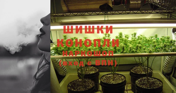бошки Горнозаводск