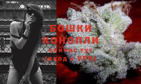 прущие крисы Горняк